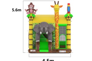 Olifant Safari